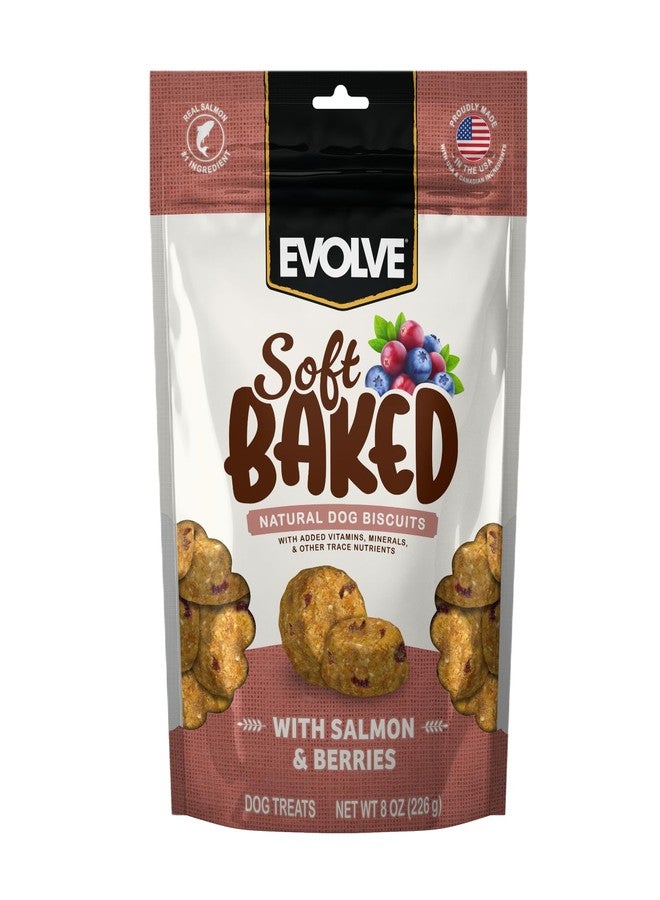 Evolve Soft Baked Salmon & Berry Recipe Dog Biscuits, 8 oz.